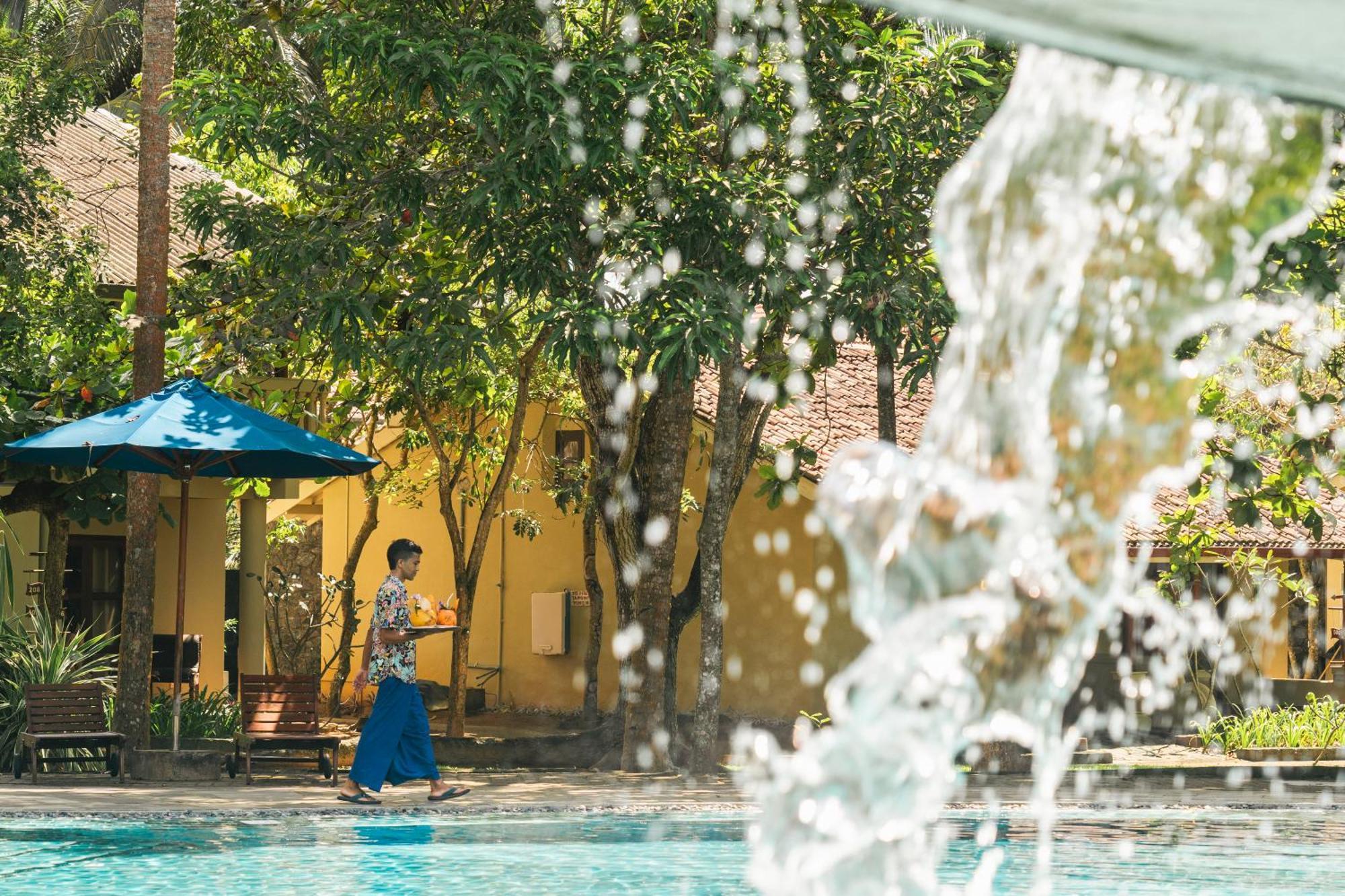 וואדואה Siddhalepa Ayurveda Resort - All Meals, Ayurveda Treatment And Yoga מראה חיצוני תמונה