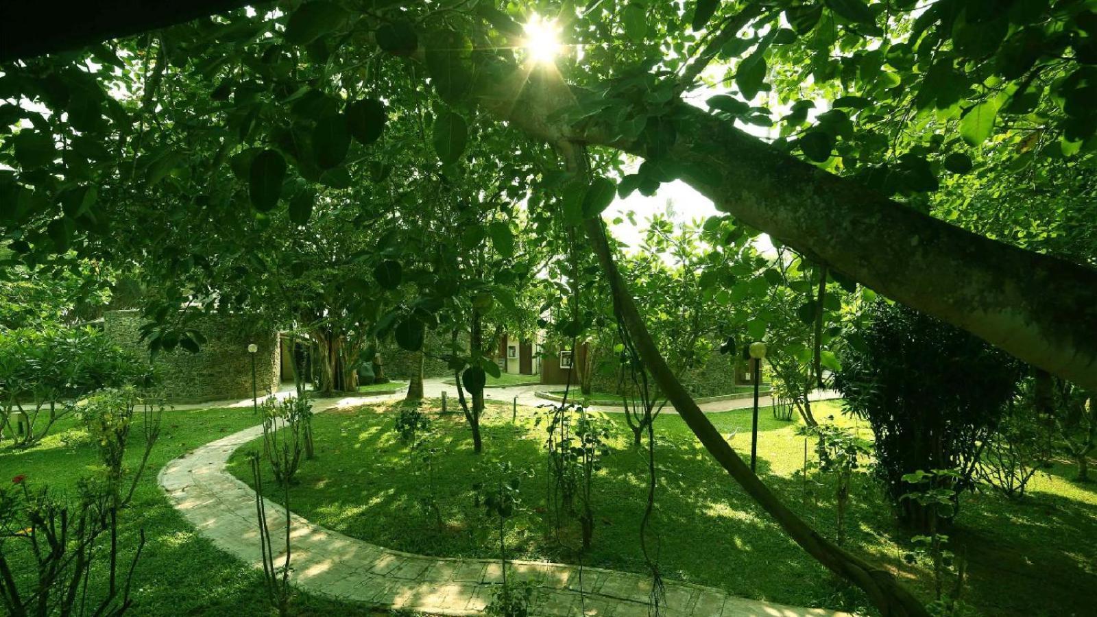 וואדואה Siddhalepa Ayurveda Resort - All Meals, Ayurveda Treatment And Yoga מראה חיצוני תמונה
