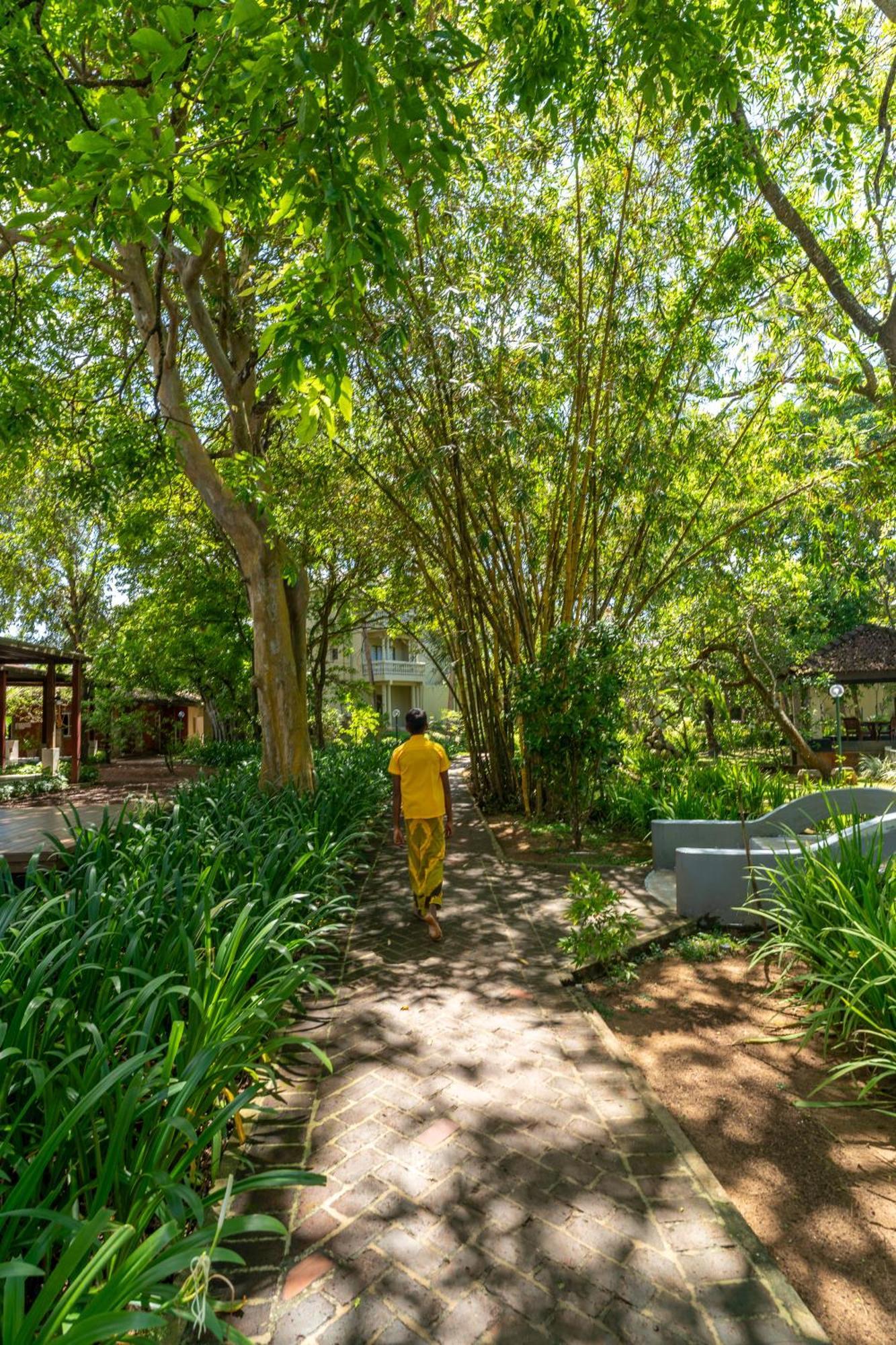 וואדואה Siddhalepa Ayurveda Resort - All Meals, Ayurveda Treatment And Yoga מראה חיצוני תמונה